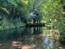 The river