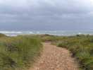 Llandwyn beach and woods