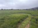 Tent site mown into grass field