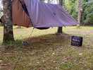 Great place for hammocks.