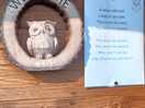 The owlery