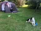 Jimmy enjoying his wee break