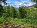 Carie trails