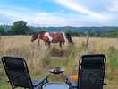 Horsing around