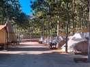 Tents