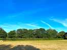 View from the yurt