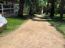 Camino