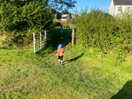 Field to play area