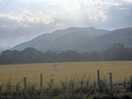 Beautiful view even in the mist
