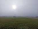 Misty morning