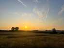 Evening peace