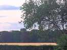 Evening view