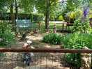 Nice gardens