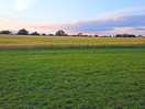 View across the field