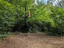 Rope swing a huge hit with the kids