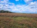 Walkers heaven - lose yourself in the new forest.