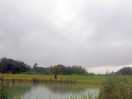Nice little fishing lake