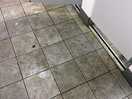 Dirty ladies toilets