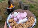 Smores by the fire pit - logs ordered onsite