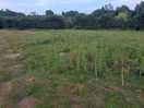 Awful field.