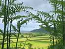 Our walk to porlock