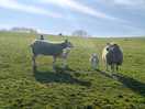 Local residents