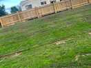 Tidy fences