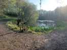 The lake