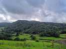 Scenery