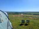 The view