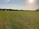 View from our tent across the field