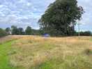 The camp field