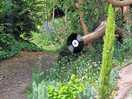 Lovely things to see on walks near to the camp cite