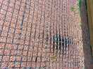 Pic of pitch no. 12, mesh over gravel.