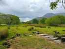 Just next to campsite