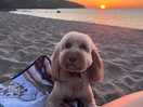 Sunset at the beach