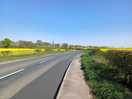 Lovely walk