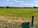 View from the site