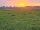 Sun set at the camp site