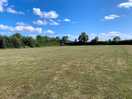 Field midweek- plenty of space!