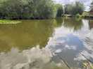 The lake