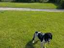 Site