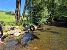 Tyre swing