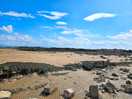 Photo of southerness beach 5 mins walk from site