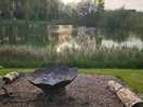 Fire pit