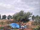 Our campsite <3