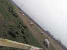View if the campsite