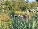 Pond with towing boat