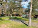 Site