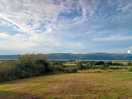 The landscape